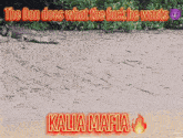 a picture of a crocodile on the beach with kalia mafia written on it