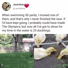 a tweet by jarod kintz shows a picture of ducks in the water