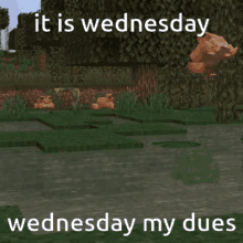 Wednesday Wednesday My Dudes GIF - Wednesday Wednesday My Dudes It Is Wednesday My Dudes GIFs