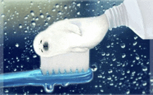 a toothbrush with toothpaste on it and a seal on top