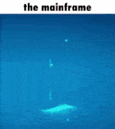 a picture of a chameleon with the words " the mainframe " below it