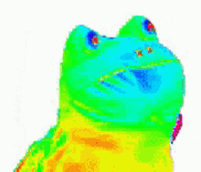 Rainbow Frog GIF - Rainbow Frog Hump Day GIFs