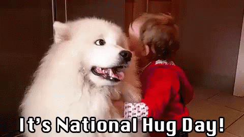 Its National Hug Day GIF - National Hug Day Hug Hugging GIFs