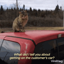 What Did I Tell You About Getting On The Customers Car Viralhog GIF