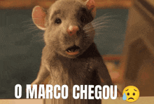 O Marco Chegou Marco Rato GIF - O Marco Chegou Marco Rato Rato GIFs