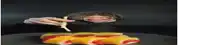 a person is eating a sandwich with chopsticks on a black plate .