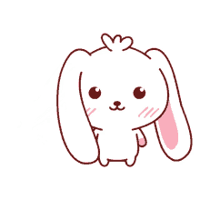 hair rabbit