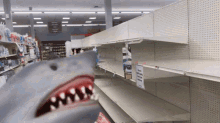 Shark Puppet No Toilet Paper GIF - Shark Puppet No Toilet Paper Panicking GIFs