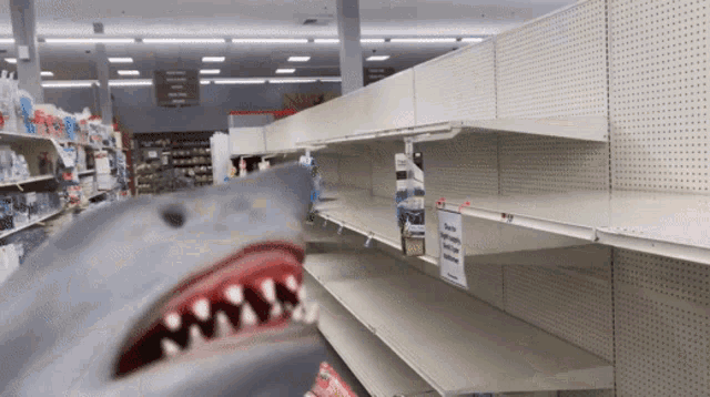 Shark Puppet No Toilet Paper GIF - Shark Puppet No Toilet Paper Panicking -  Discover & Share GIFs
