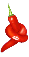 Hot Pepper Knot Sticker - Hot Pepper Hot Knot Stickers