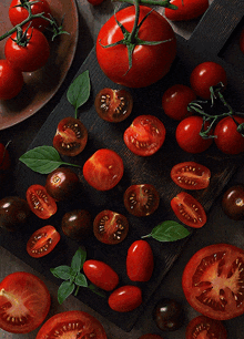 помидоры GIF - помидоры GIFs