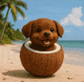 a small brown dog is sitting inside of a coconut on the beach