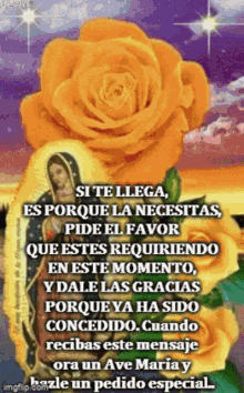 Milagro Guadalupe GIF - Milagro Guadalupe Favor GIFs