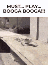 Booga Booga GIF - Booga Booga GIFs