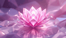 a pink lotus flower surrounded by purple crystals