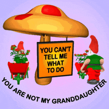 You Can'T Tell Me What To Do You Are Not My Granddaughter GIF