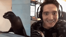 a seal next to a man wearing headphones and a sign that says " ear the ind "