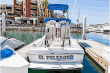 Cabo Fishing Best Fishing Charters In Cabo GIF