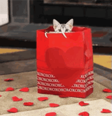 Valentine Cat Giftbag GIF - Valentine Cat Kitty Valentine Gift GIFs