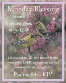 monday blessings morning good happy