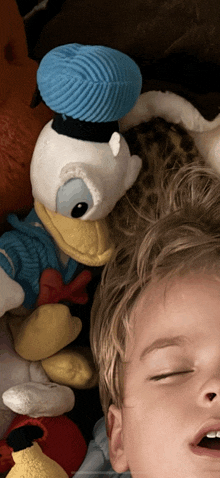 a child with a stuffed donald duck on top of his head