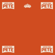 Political Campaigning Pete For America GIF