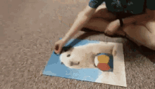 Puzzle Kick GIF - Puzzle Kick Hamster GIFs