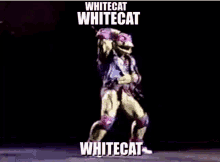 Whitecat 1000pp GIF - Whitecat 1000pp Battle Theme GIFs
