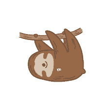 sloth slow cute hanging swing