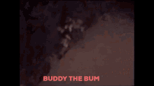 Buddy The Bum GIF - Buddy The Bum GIFs