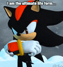 The Ultimate Life Form I Am The Ultimate Life Form GIF - The Ultimate Life Form I Am The Ultimate Life Form Shadow The Hedgehog GIFs