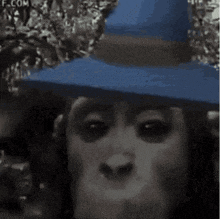 a chimpanzee wearing a blue hat is smoking a cigarette