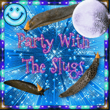 Party With The Slugs GIF - Party With The Slugs Slugs Party GIFs