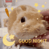 a rabbit with a carrot on its head and the words good night