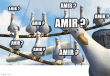 a group of seagulls are sitting on a rope and one of them has the word amir on its head