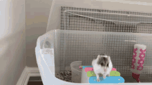 Fail Hamster GIF