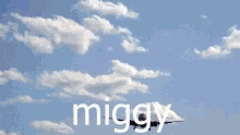 Miggy GIF - Miggy GIFs