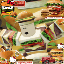 a collage of hamburgers and hello kitty with a fancy ketchup stamp