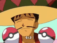 pokemon hat maracas pokeballs