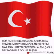 Ahmet Aksoy GIF - Ahmet Aksoy Flag GIFs