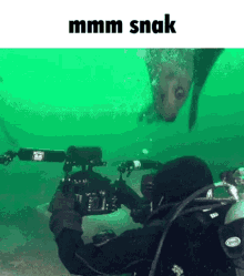 mmm snak mmm snack snack diver eat diver