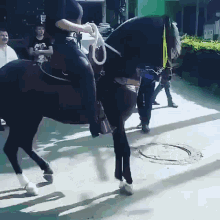 سلطان Horse GIF - سلطان Horse Ride GIFs