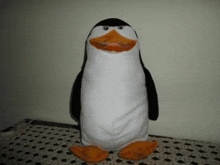 Pingus GIF - Pingus GIFs
