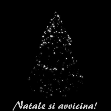 christmas tree buon natale merry christmas merry xmas happy holidays
