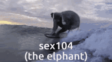 Sex104 GIF - Sex104 GIFs