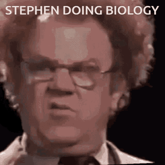 Stephen Stephen Confused GIF - Stephen Stephen Confused GIFs