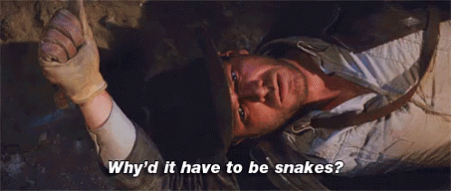 Indiana Jones Harrison Ford GIF - Indiana Jones Harrison Ford Whyd It Have To Be Snakes GIFs