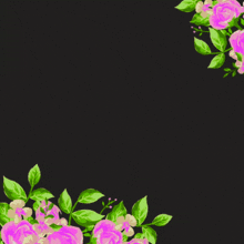 حدائق الزهور الأزهار الوردة ورود الحمد لله على جميع النعم GIF - حدائق الزهور الأزهار الوردة ورود الحمد لله على جميع النعم اللهم إنتزع من الأفئدة حب ما لا يرضيك GIFs