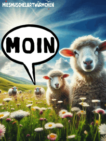 Moin Nordsee GIF - Moin Nordsee Schaf GIFs