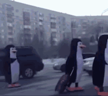 Pingouins Fail Pingouins GIF - Pingouins Fail Pingouins Pinguins GIFs